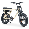 Ebike brothers 2025