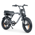 Ebike brothers sales