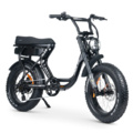 ACE-X Electric Bike Dune