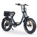 CHALLENGER Electric Mountain Bike Graphite