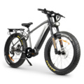 Electric beach bicycle store