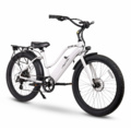 Ebike brothers hotsell
