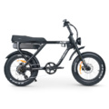 White sale brothers bike
