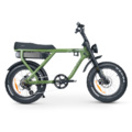 Ace fat shop tyre electric bike